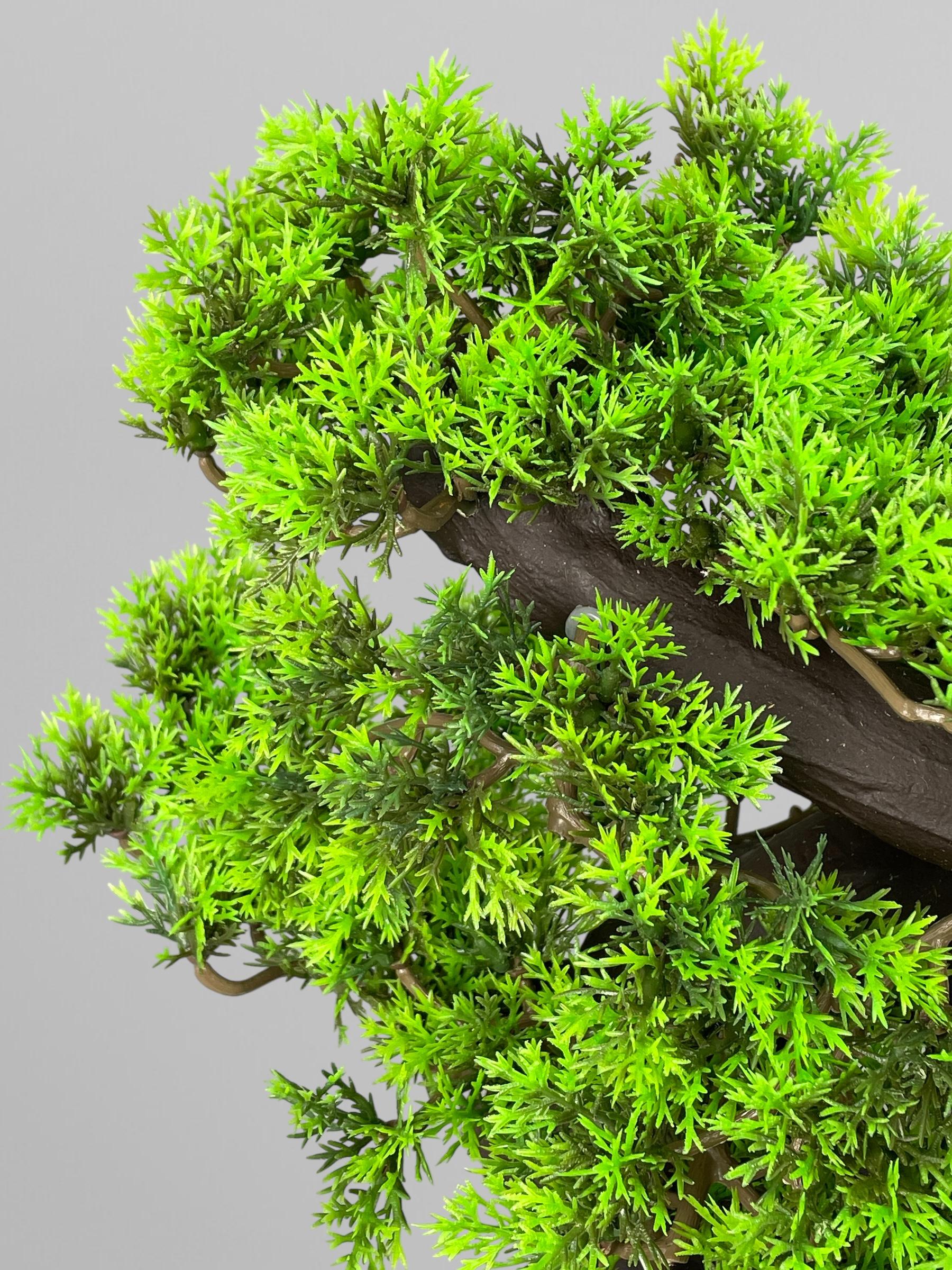 Бонсай 42 см Зеленый (Б011) - фото 5 Бонсай 42 см Зеленый (Б011) - фото 5
