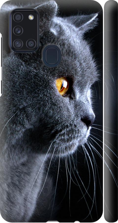 Чехол на Samsung Galaxy A21s A217F Красивый кот (3038m-1943-42517)