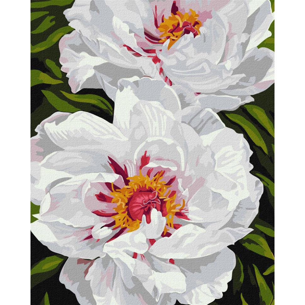 Картина за номерами Ideyka Білі півонії KHO3243 40x50 см (RLT33502)