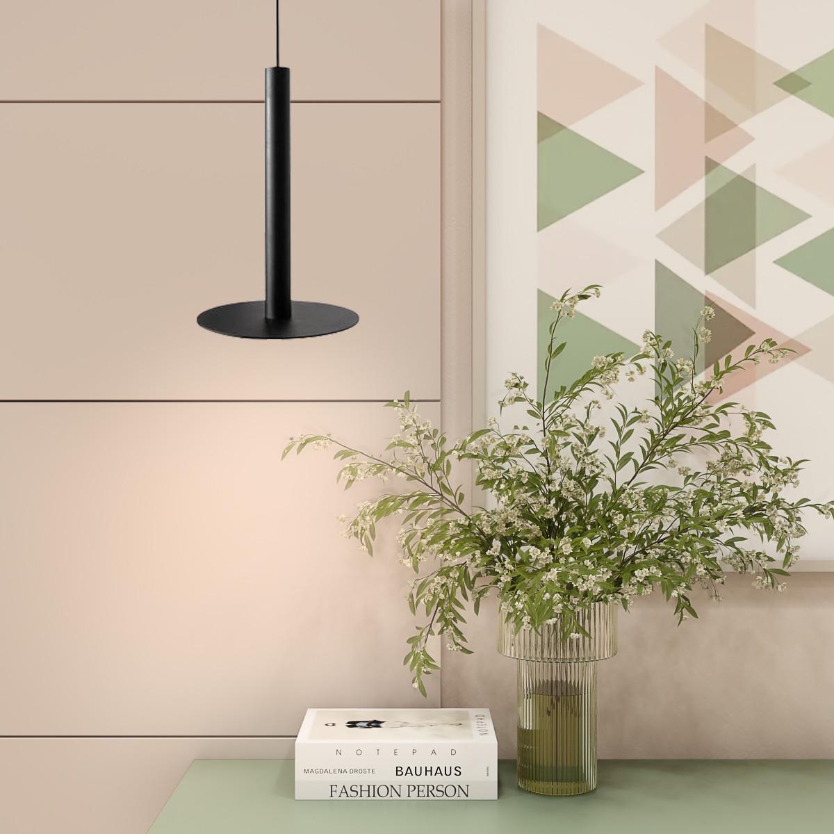 Подвесной светильник MSK ELECTRIC NL 26501 BK Disk под лампу Е14 Черный (2040169786) - фото 2 Подвесной светильник MSK ELECTRIC NL 26501 BK Disk под лампу Е14 Черный (2040169786) - фото 2