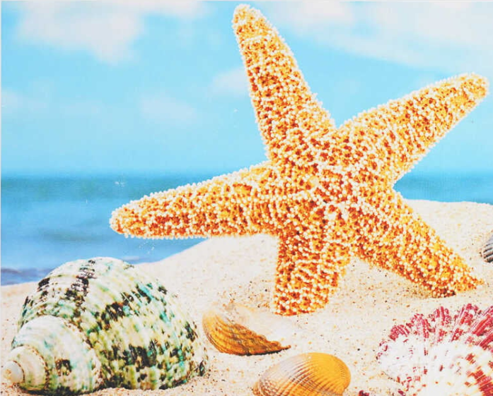 Картина за номерами TK Group 30383 30 Морська зірка 40х30 см (121598)
