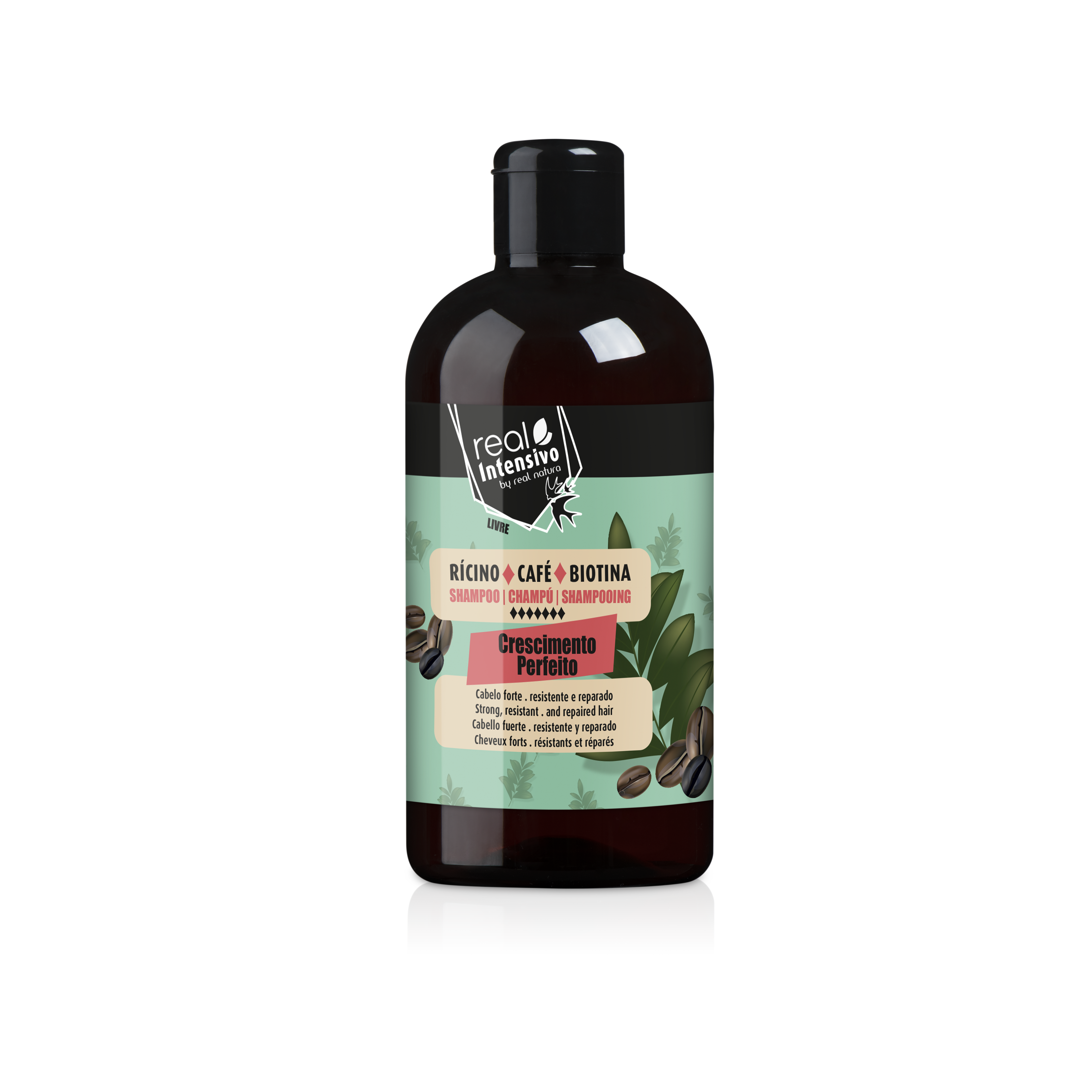 Шампунь восстанавливающий для волос CHAMPO CRESCIMENTO PERFEITO 300 мл (4003)