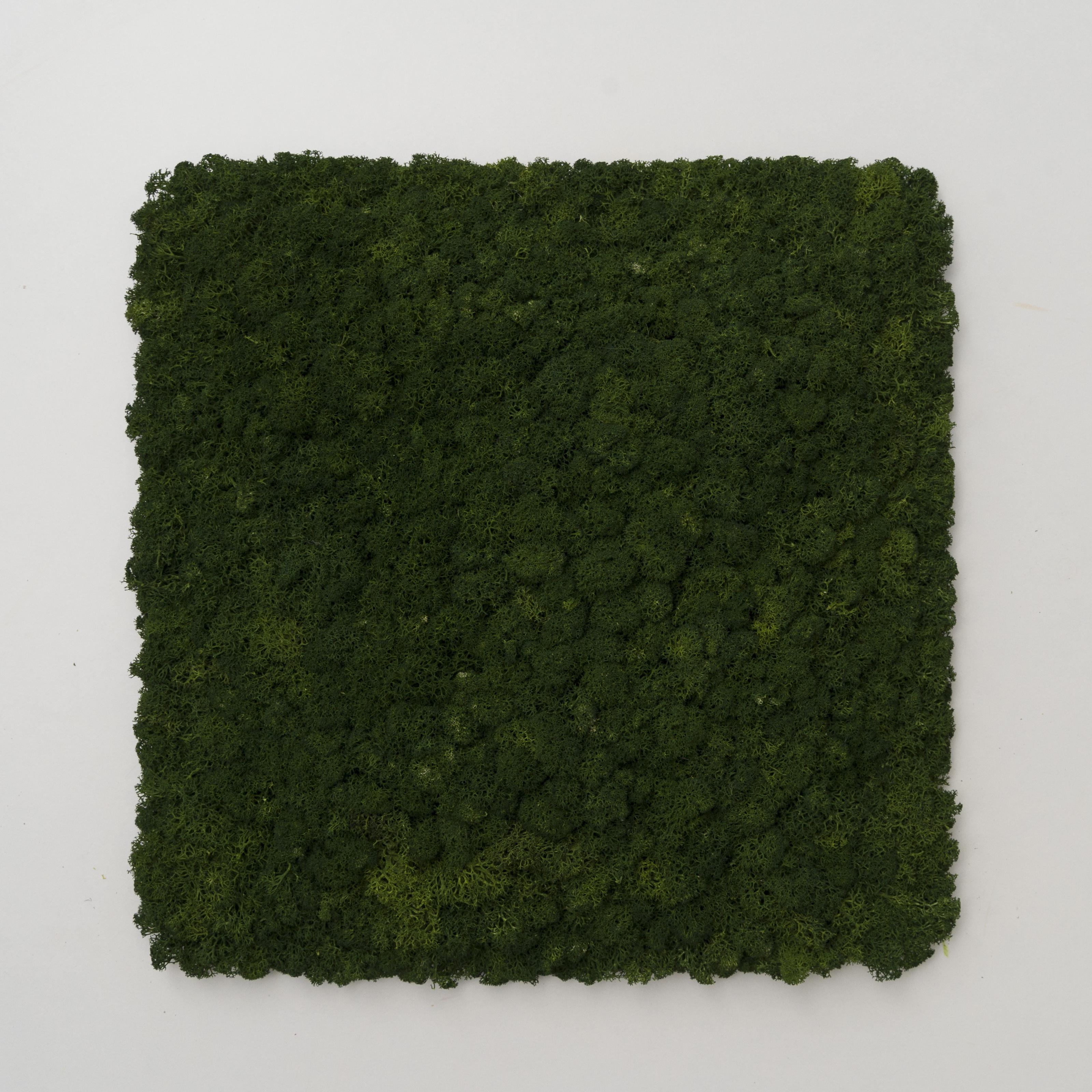 Декоративное панно из мха Organic Design квадратная панель 33 см Forest Green (703-04) - фото 2 Декоративное панно из мха Organic Design квадратная панель 33 см Forest Green (703-04) - фото 2