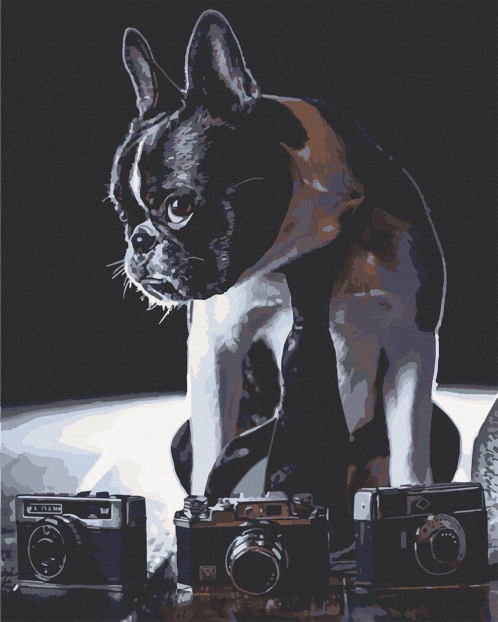 Картина по номерам ART CRAFT Застенчивый фотограф 40x50 см Разноцветный (PM-194-K-275)