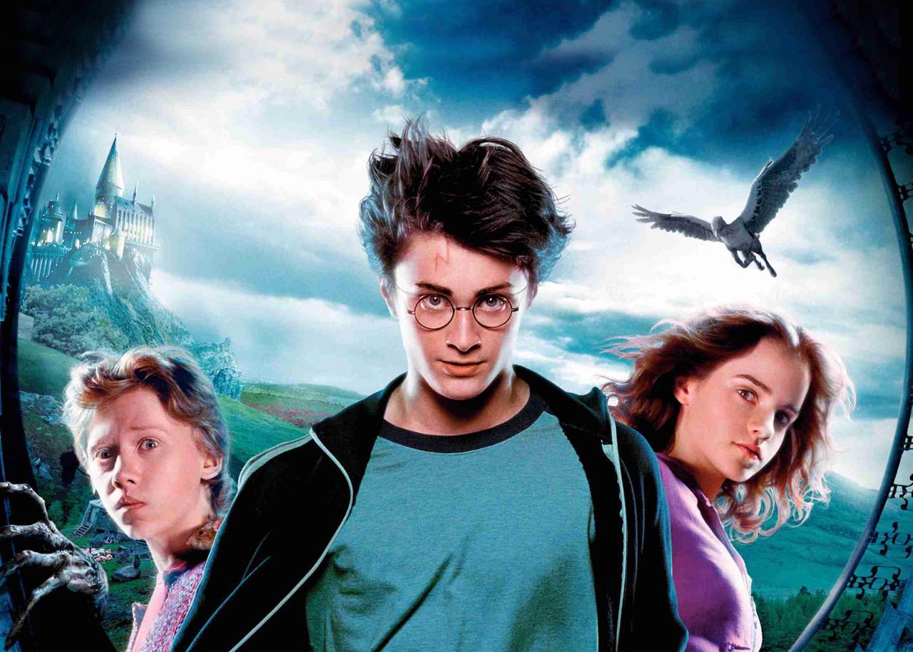 Картина постер Gee! Harry Potter Гарри Поттер 60х40 см HP 09.005