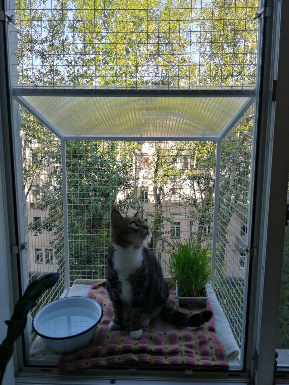 Балкон для котів підвісний прямокутний 540х420х640 см Білий (002) - фото 4 Балкон для котів підвісний прямокутний 540х420х640 см Білий (002) - фото 4