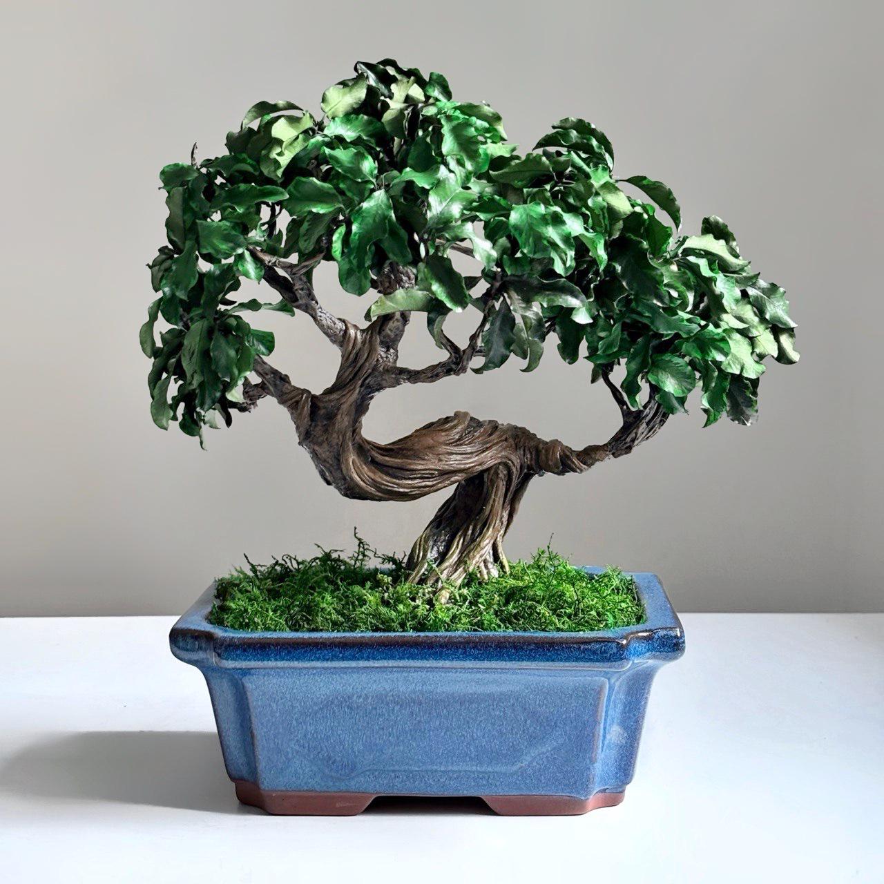 Бонсай зі стабілізованих рослин 29х25х15 см (16093)