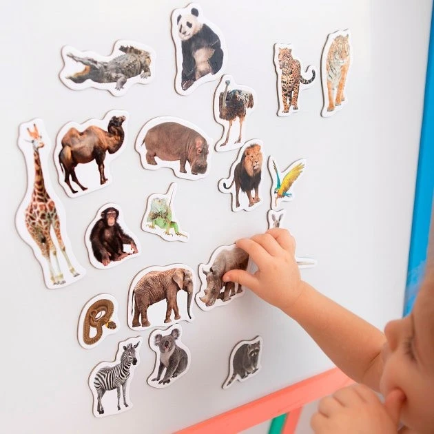 Набір магнитів Magdum Зоо Фото 19 шт. (ML4031-02) - фото 3 Набір магнитів Magdum Зоо Фото 19 шт. (ML4031-02) - фото 3