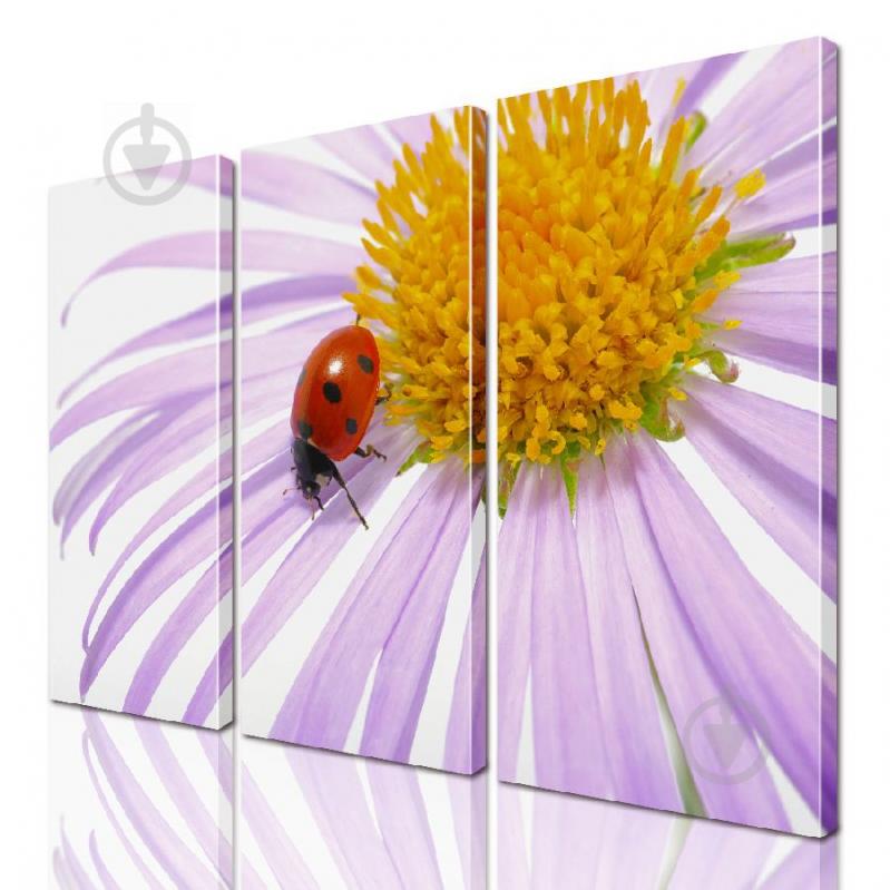 Модульная картина ArtStar цветы Ромашка ADFL0158 размер 95 х 120 см