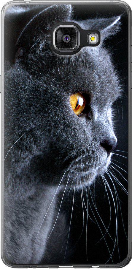Чехол на Samsung Galaxy A5 (2016) A510F Красивый кот (3038t-158-42517)