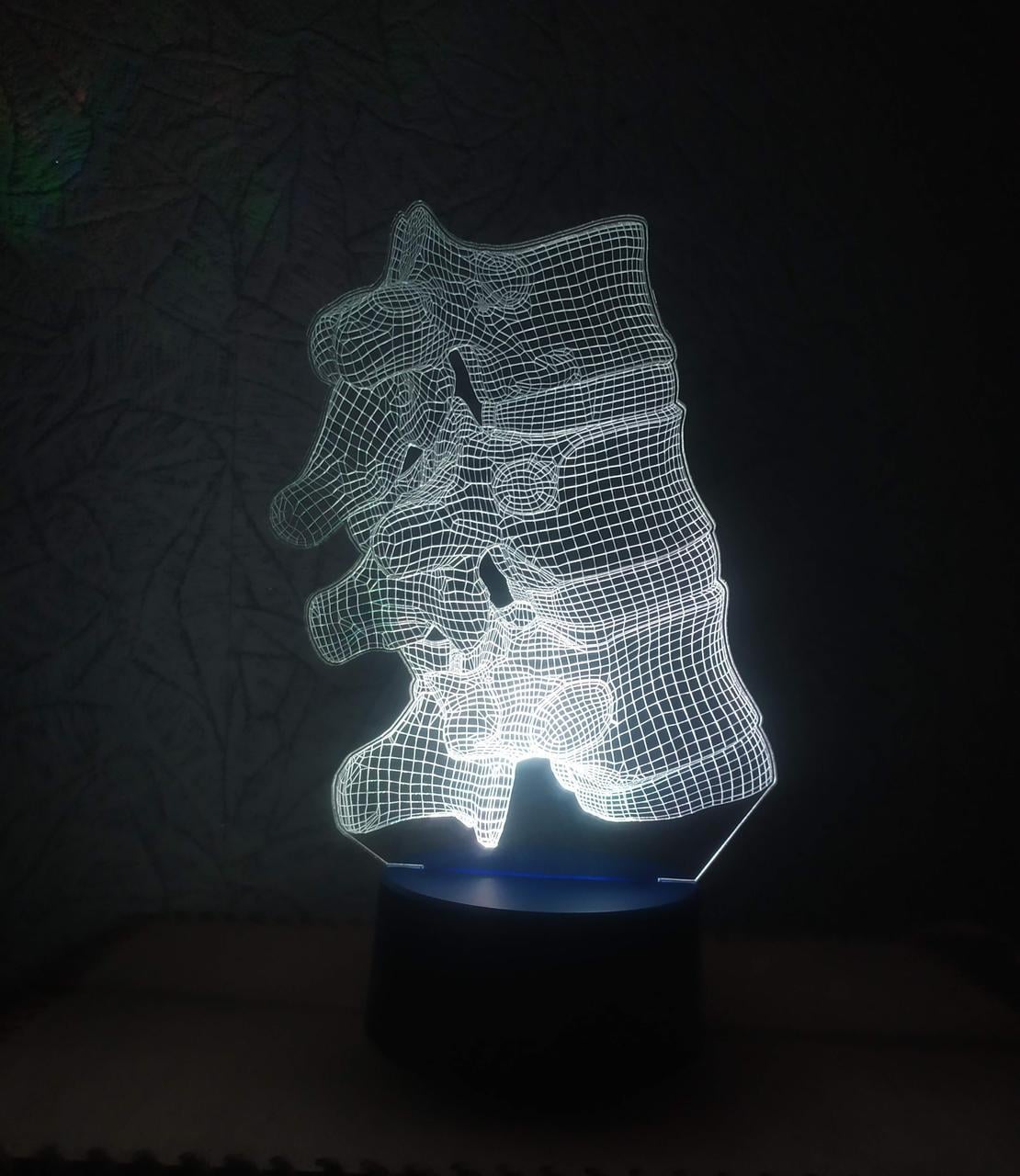 3D-ночник Позвоночник человека несколько подсветок/на bluetooth (1890350902) 3D-ночник Позвоночник человека несколько подсветок/на bluetooth (1890350902)
