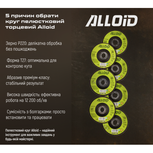 Круг лепестковый торцевой Alloid 125 мм P220 T27 (00000061770) - фото 9 Круг лепестковый торцевой Alloid 125 мм P220 T27 (00000061770) - фото 9