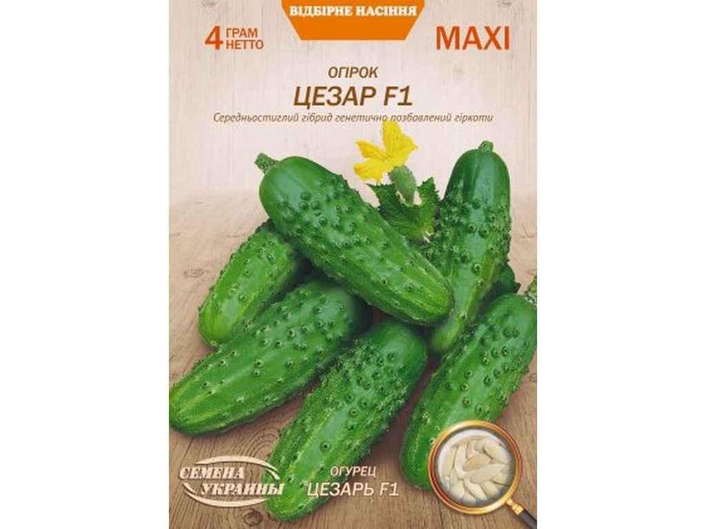 Семена Огурец Насіння України Макси F1 4 г 10 пачек (728455)