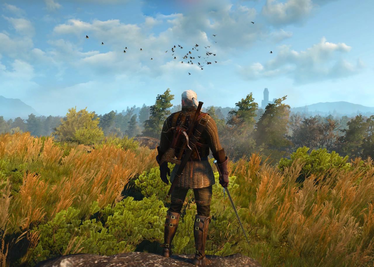 Картина GeekLand The Witcher Poster 40х60 см (TW.09.085)