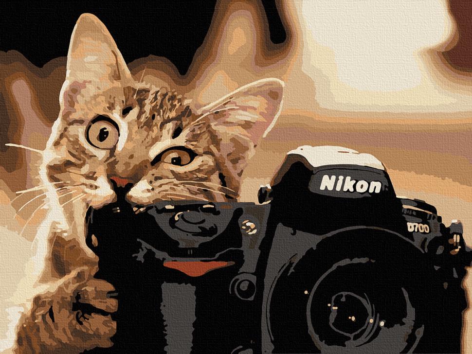 Картина по номерам ART CRAFT Пушистый фотограф 11608-AC 40x50 см (RLT15332)