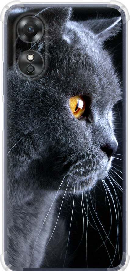 Чехол на Oppo A17 Красивый кот (3038sp-2954-42517)
