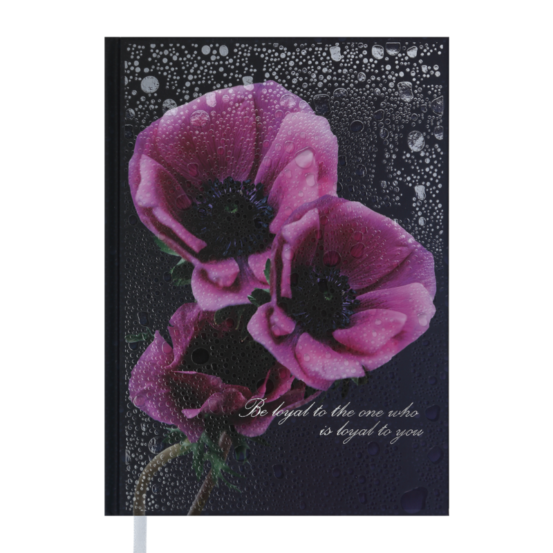 Дневник Buromax Posh A5 288 листов Черно-фиолетовый (BM.2013-07)