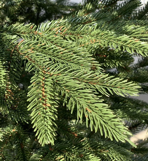 Елка искусственная Green Yard Смерека 2,1 м Зеленый - фото 2 Елка искусственная Green Yard Смерека 2,1 м Зеленый - фото 2