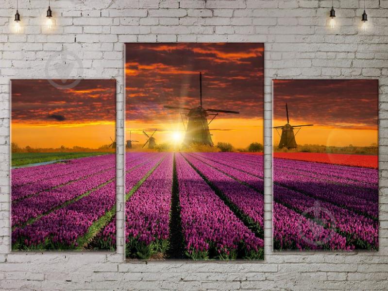 Модульная картина ArtStar ADNA0138 размер 70 х 105 см