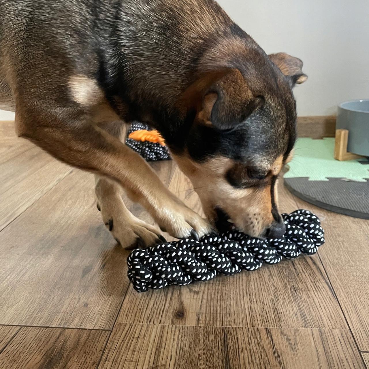 Набор игрушек для собак Purlov для обучения и развлечения 10 пр. (24388) - фото 5 Набор игрушек для собак Purlov для обучения и развлечения 10 пр. (24388) - фото 5