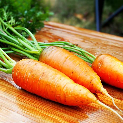 Семена Морква Florium Емперор F1 (15998)