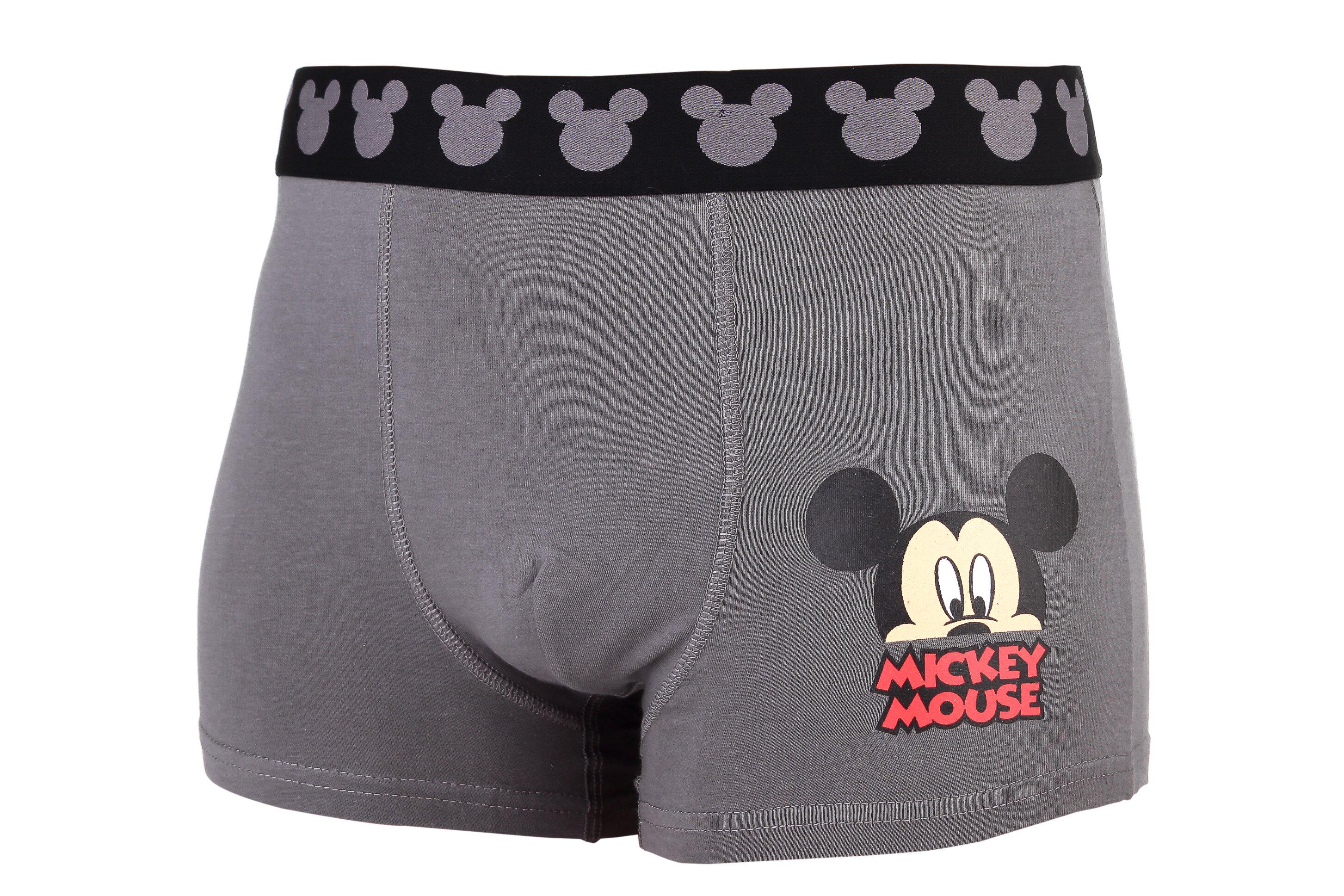 Трусы-боксеры Disney Mickey Mouse Head M 1 шт. Серый (30892913-2) Трусы-боксеры Disney Mickey Mouse Head M 1 шт. Серый (30892913-2)