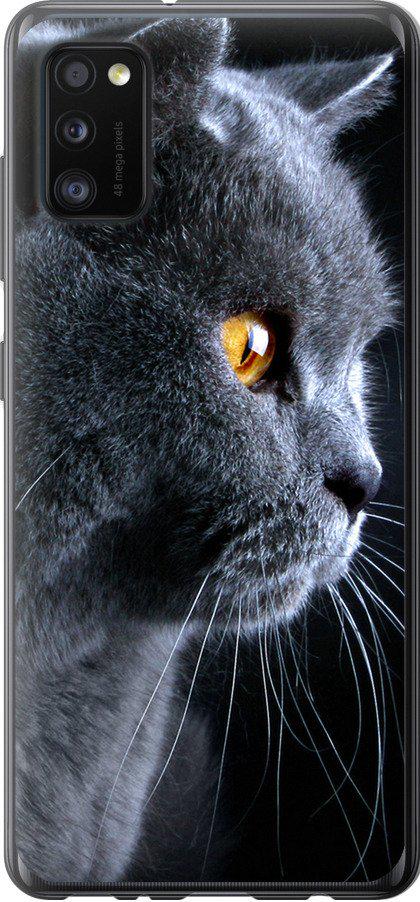 Чехол на Samsung Galaxy A41 A415F Красивый кот (3038u-1886-42517)