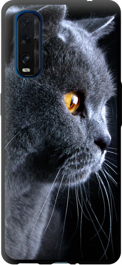 Чехол на Oppo Find X2 Красивый кот (3038b-1891-42517)