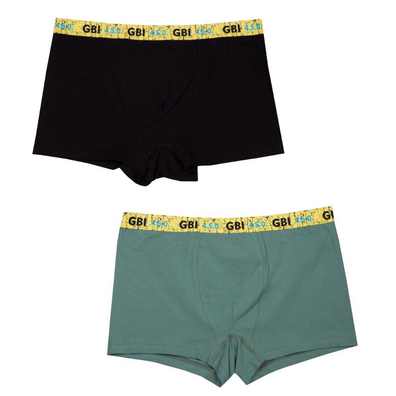 Трусы мужские GBI на резинке хлопковые 2 шт. M Оливковый/Черный (13865)