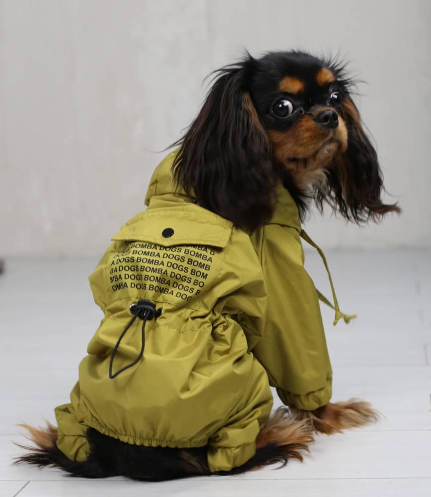 Дождевик для собак Dogs Bomba М-95 р. 5 Лайм (73030154)