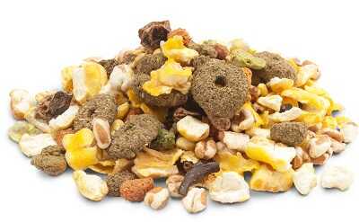 Ласощі для гризунів Versele-Laga Crispy Snack Popcorn 650 г (617304) - фото 2