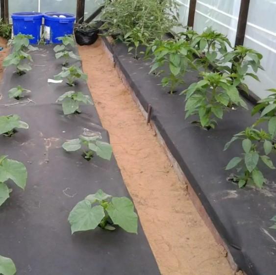 Агроволокно Shadow 50 г/м² 1,07x5 м (АВБП000245) - фото 4 Агроволокно Shadow 50 г/м² 1,07x5 м (АВБП000245) - фото 4