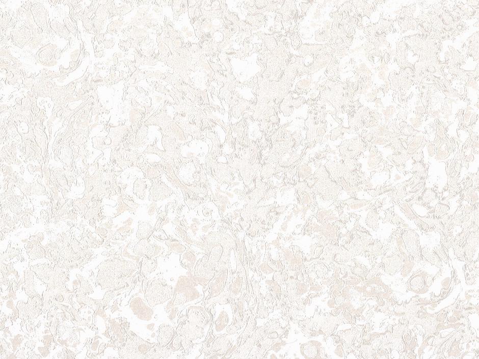 Обои виниловые горячего тиснения Слов'янські шпалери Л8625-10 Джунгли 2 под шелк на флизелиновой основе 1,06х10 м (4752232000353)