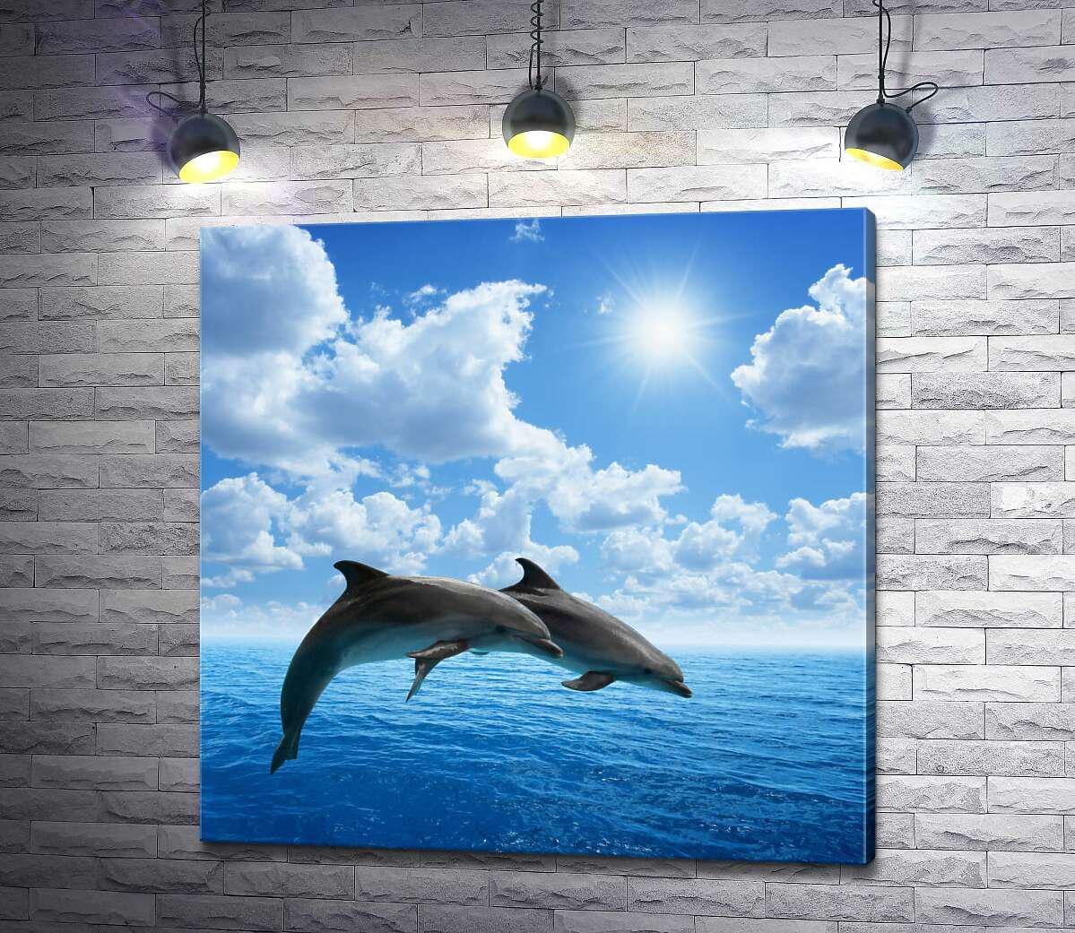 Картина ArtPoster Пара дельфинов парит над поверхностью океана 100x100 см Модуль №1 (002540)