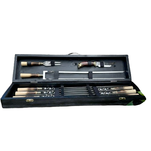 Набор шампуров Premium-Lux 10-1 в кейсе (19133996)