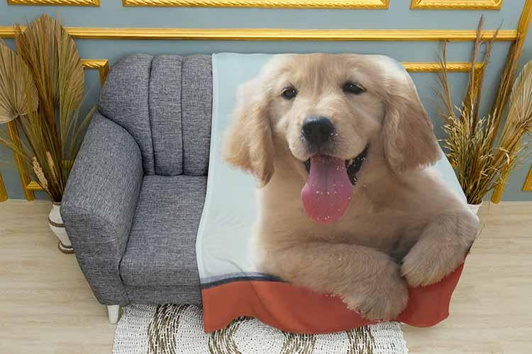 Плед Little labrador puppy плюш однослойный 135х150 см (113447)