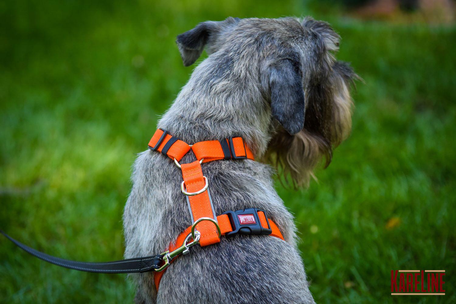 Шлея анатомічна KareLine з нейлону зі світловідбиваючими елементами 25 мм А:340-540 мм В:470-690 мм Помаранчевий (0976/11) - фото 3 Шлея анатомічна KareLine з нейлону зі світловідбиваючими елементами 25 мм А:340-540 мм В:470-690 мм Помаранчевий (0976/11) - фото 3