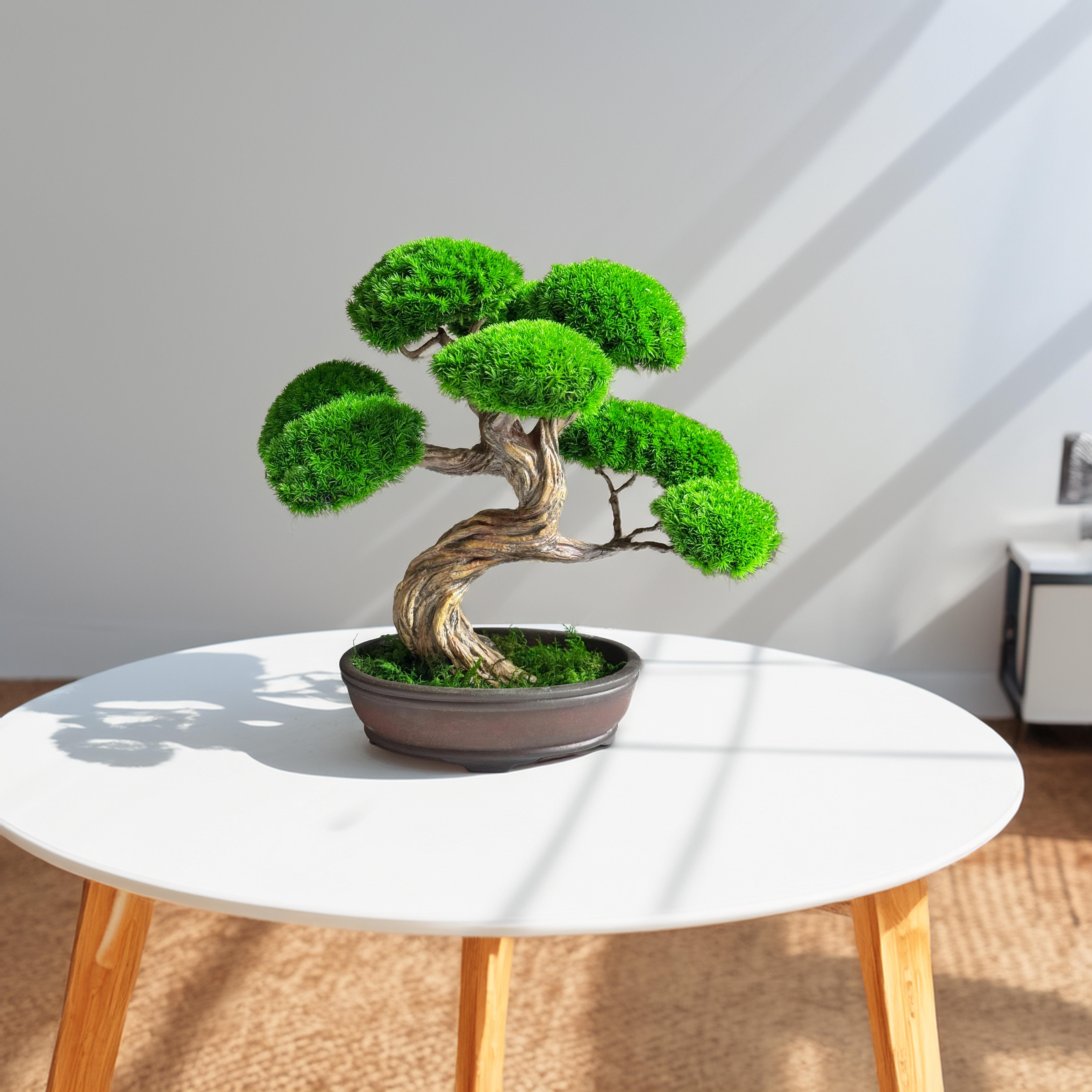 Бонсай зі стабілізованих рослин 26х25 см - фото 7