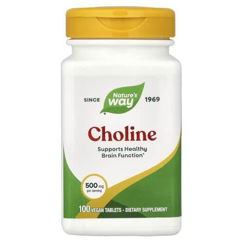 Холин В-4 Nature's Way Choline 500 мг 100 Veg Tab (NWY-40460) Холин В-4 Nature's Way Choline 500 мг 100 Veg Tab (NWY-40460)