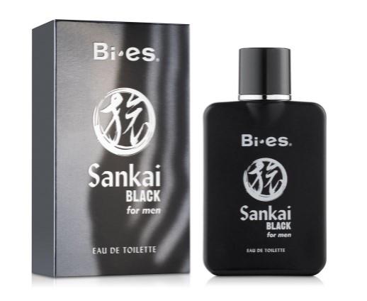 Туалетная вода мужская Bi-Es Sankai Black 100 мл