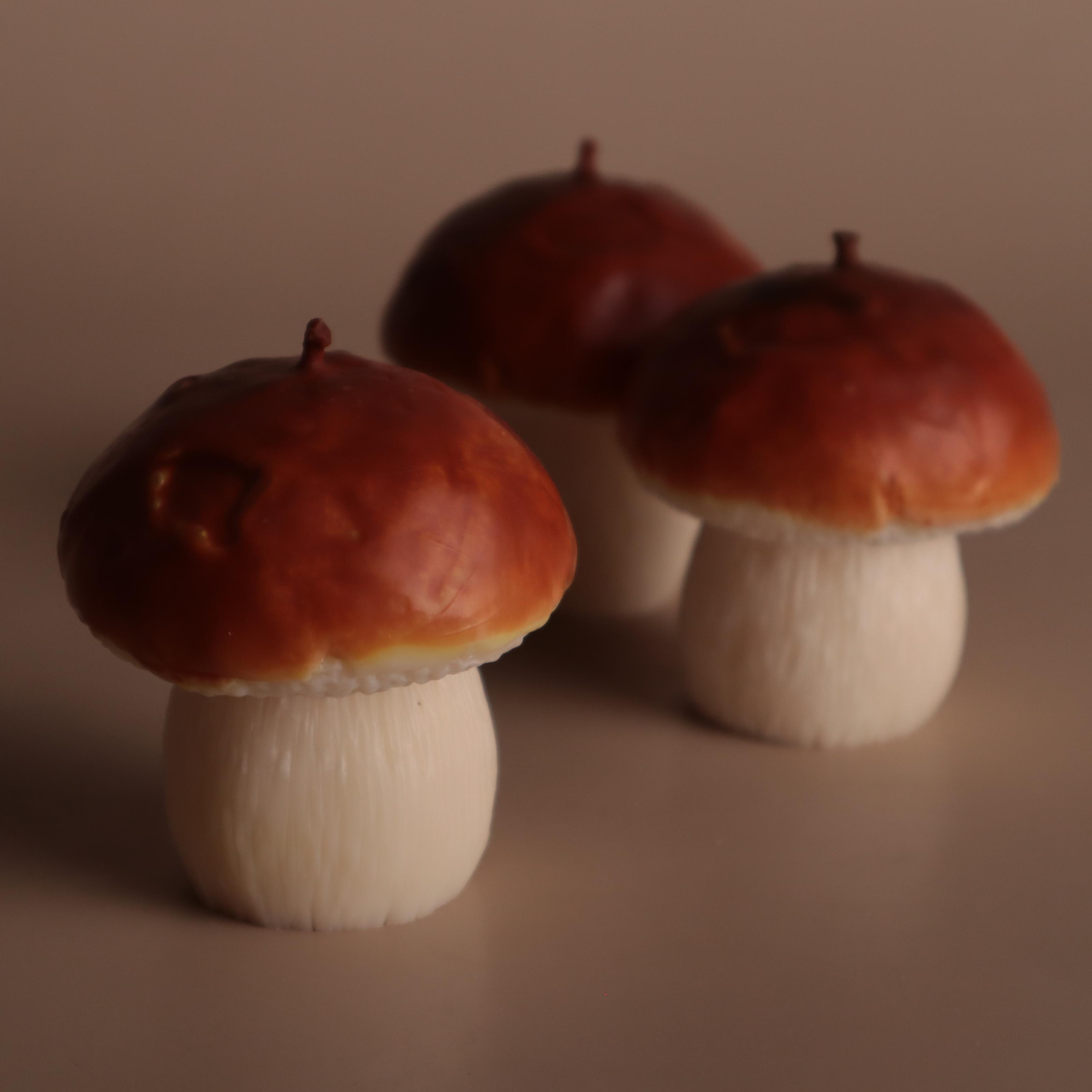 Подарунковий набір аромасвічок Wax Harmony Ваніль Білі гриби (3000451)