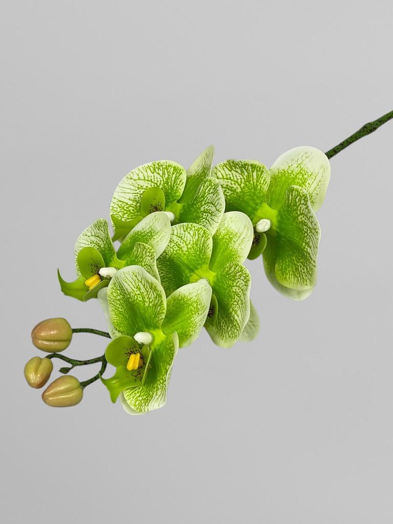 Искусственная ветвь орхидеи Фаленопсис 5 соцветий 65 см Салатовый (К01080)