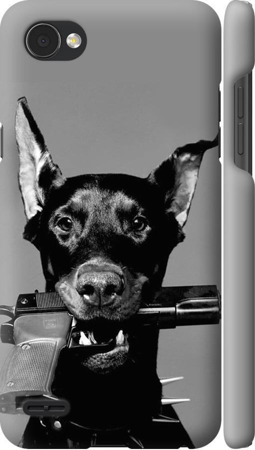 Чехол на LG Q6 Доберман (2745m-1094-42517)