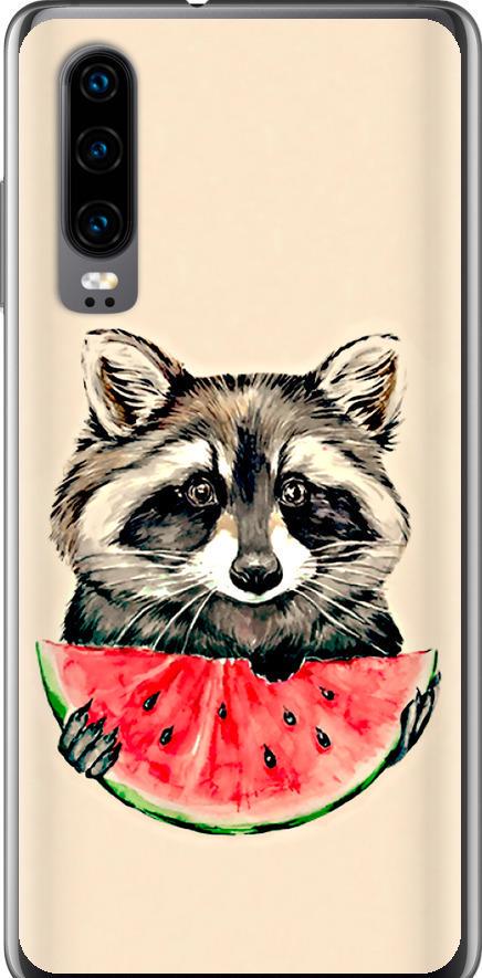 Чехол на Huawei P30 Енотик с арбузом (4605u-1622-42517)