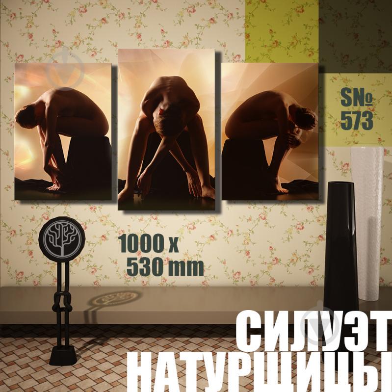 Модульная картина Декор Карпаты силуэт натурщицы 100х53см (s573)