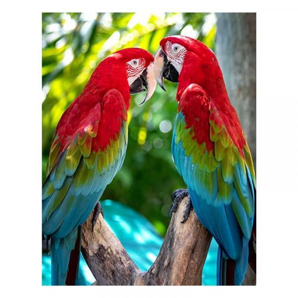 Алмазна мозаїка TK Group Пара какаду 40х30 см з рамкою в коробці (GB77839-mt)