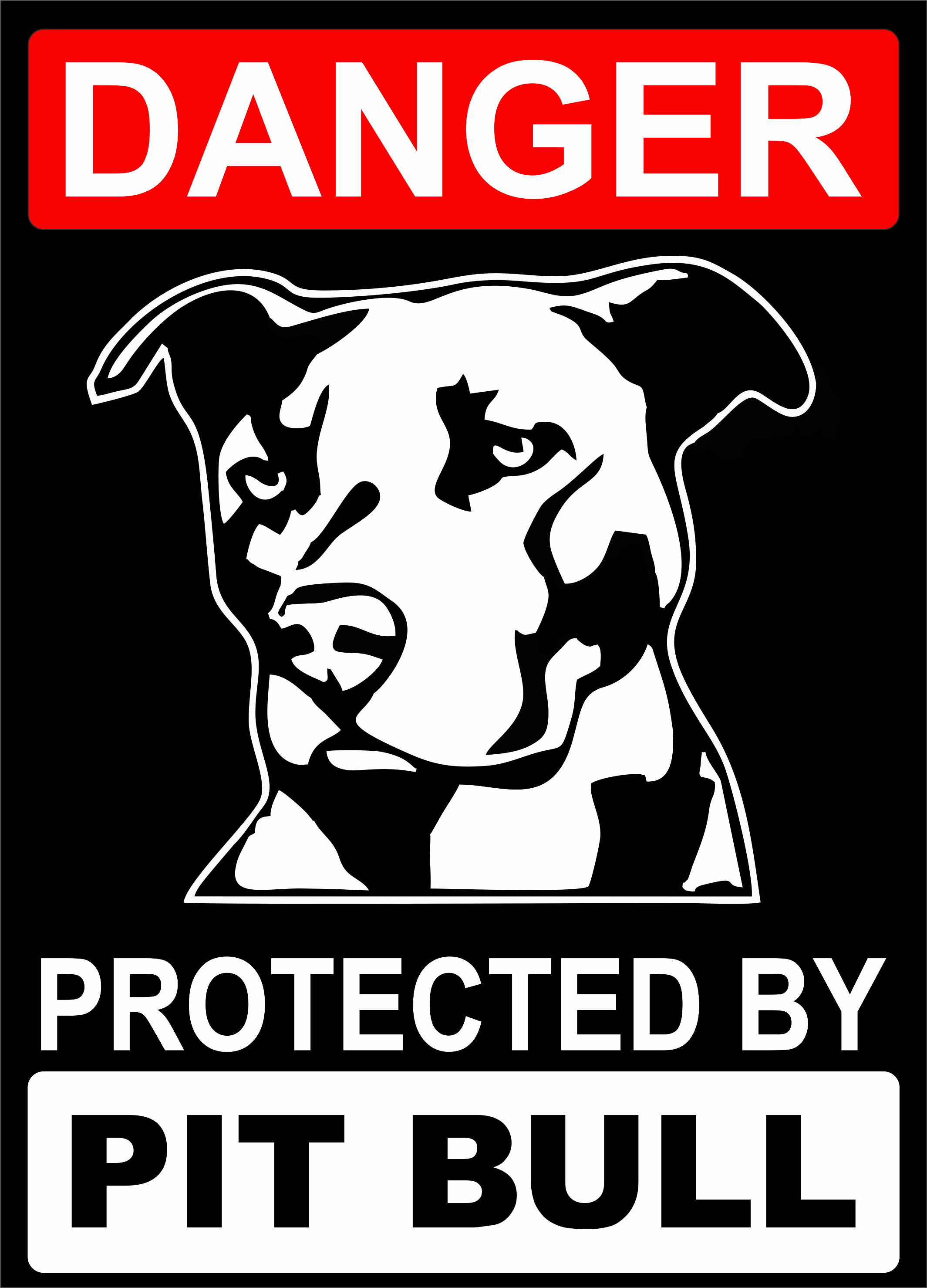 Табличка металлическая "Danger. Protected by Pit Bull" 25x18 см