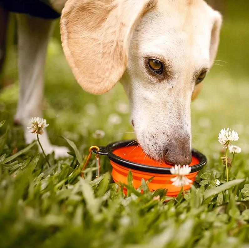 Миска для собак и кошек силиконовая складная с карабином 1000 мл XL - фото 3