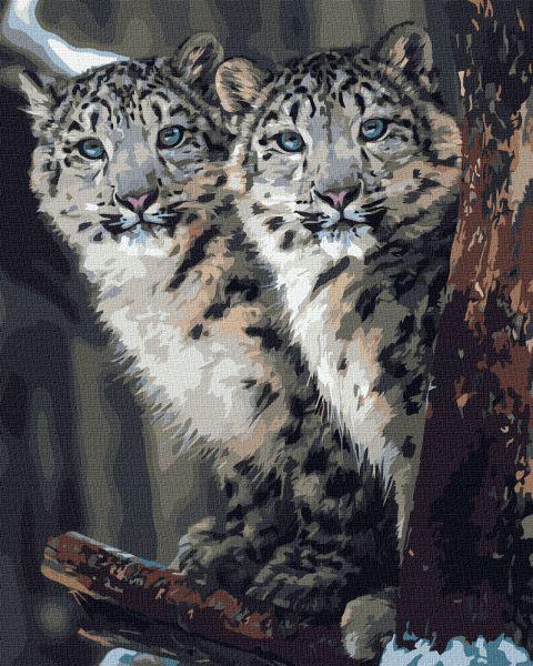 Картина по номерам Идейка Скрытое наблюдение 40x50 см (KHO4311)