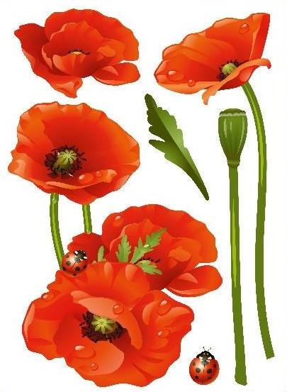 Декоративная наклейка Арт-Декор 28 Маки 2 50х70 см (2000000535760)